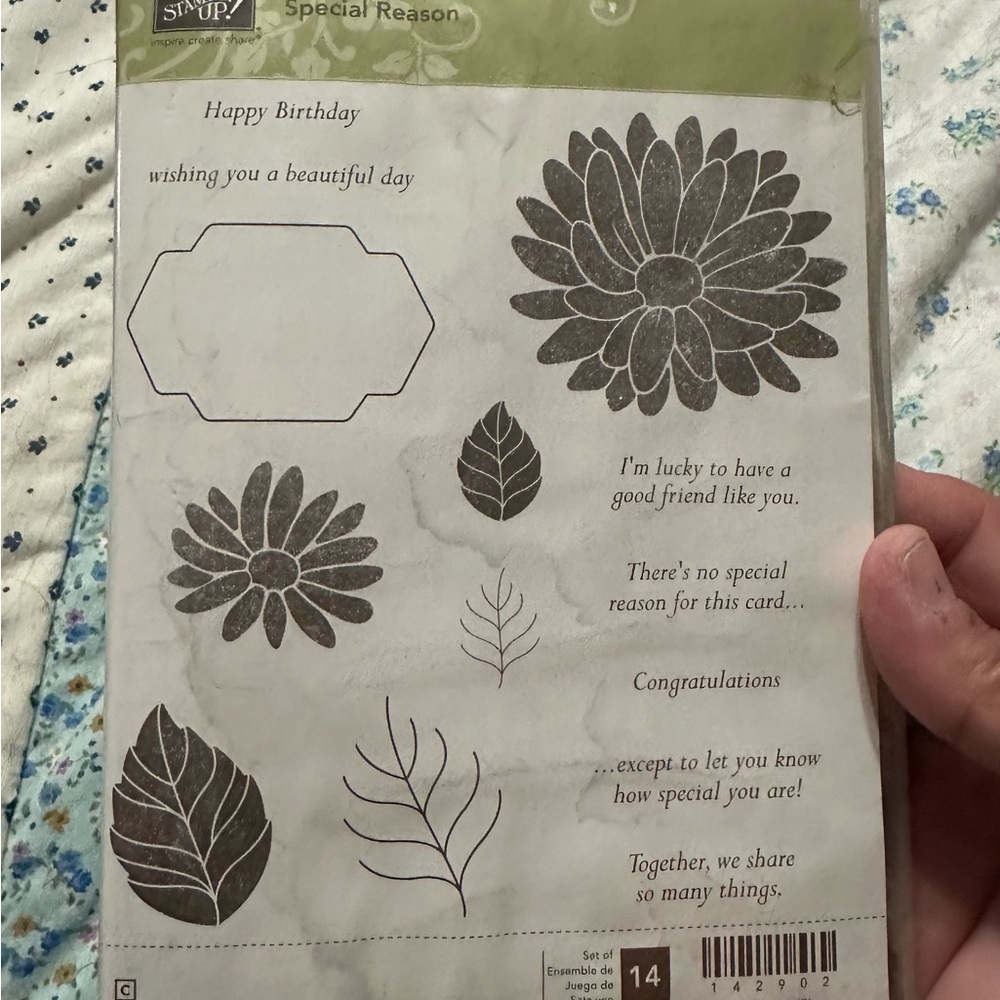 Stampin' Up! "Special Reason" Stamp Set